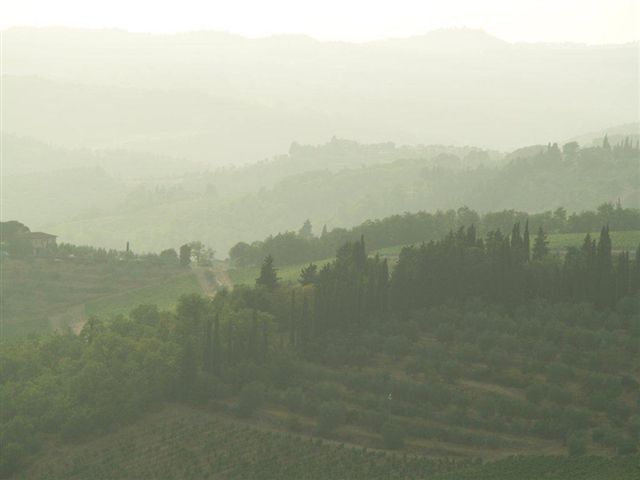 Le collines du  Chianti  dans la brume - Cecilia Betancourt