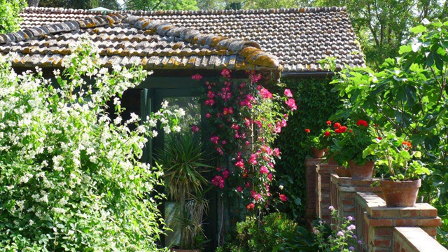 Villa le Barone : un des jardins avec du seringat, roses, geranium.. 