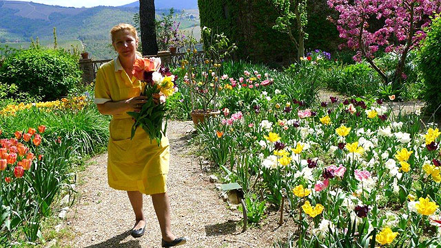 Amira cueille des fleurs au jardin pour les bouquets à Villa le Barone 