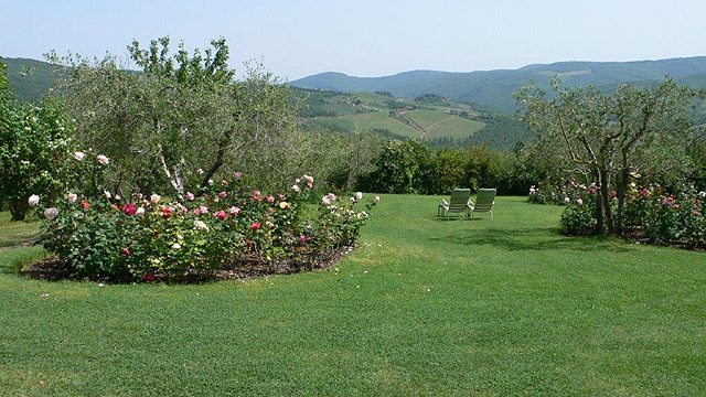 Vue sur les vignobles depuis les jardins de Villa le Barone 