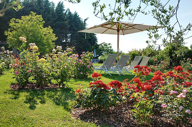 Relaxation près de la piscine à Villa le Barone dans le Chianti , Italie