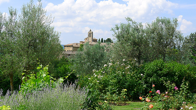 Parfums et vues à Villa le Barone en Toscane