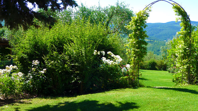Un coin des jardins de Villa le Barone in Chianti 