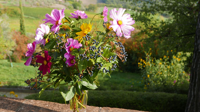 Bouquet de fleurs du jardin pour les hôtes de Villa le Barone Chianti